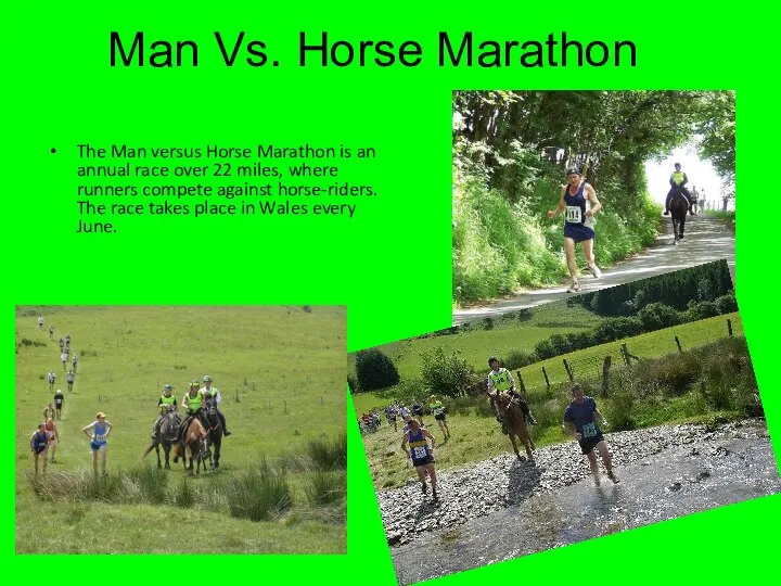 Man Vs. Horse Marathon The Man versus Horse Marathon is an