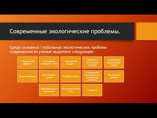 Современные экологические проблемы. Среди основных глобальных экологических проблем современности ученые выделяют следующие: