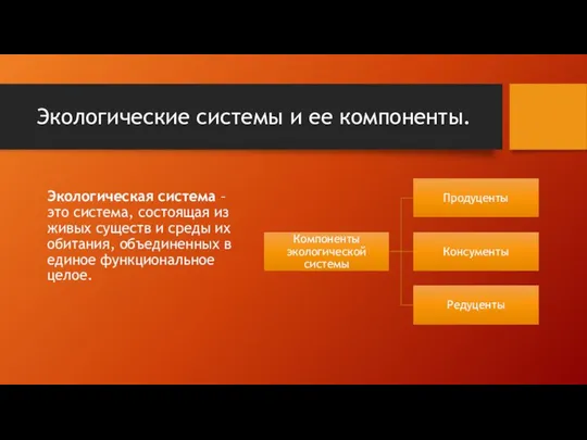 Экологические системы и ее компоненты. Экологическая система – это система, состоящая