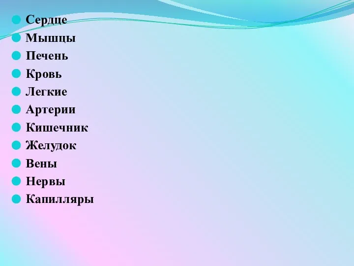 Сердце Мышцы Печень Кровь Легкие Артерии Кишечник Желудок Вены Нервы Капилляры