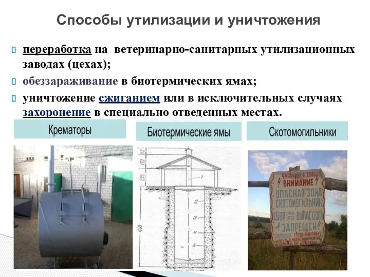 переработка на ветеринарно-санитарных утилизационных заводах (цехах); обеззараживание в биотермических ямах; уничтожение