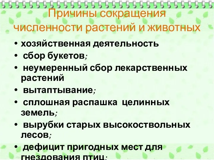 Причины сокращения численности растений и животных хозяйственная деятельность сбор букетов; неумеренный