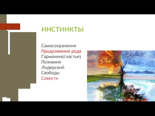 инстинкты Самосохранения Продолжения рода Гармонии(счастье) Познания Лидерский Свободы Совести