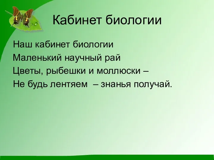 Кабинет биологии Наш кабинет биологии Маленький научный рай Цветы, рыбешки и