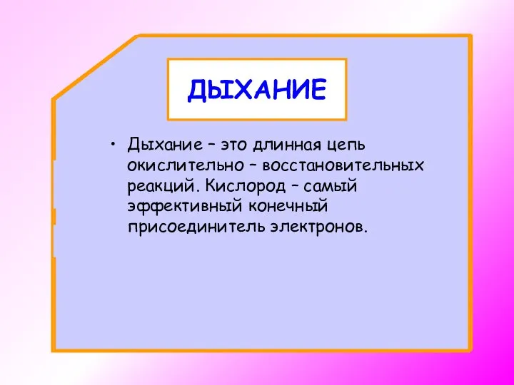 ДЫХАНИЕ Дыхание – это длинная цепь окислительно – восстановительных реакций. Кислород