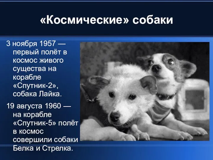 «Космические» собаки 3 ноября 1957 — первый полёт в космос живого