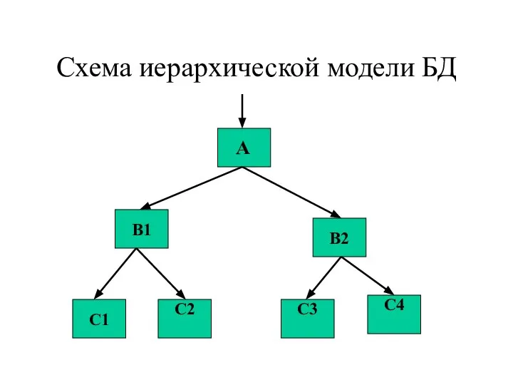 Схема иерархической модели БД B2 B1 C1 C2 C3 C4 А