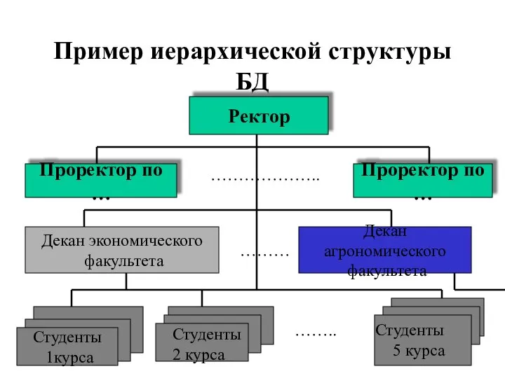 Пример иерархической структуры БД Ректор Студенты 1курса Декан агрономического факультета Декан