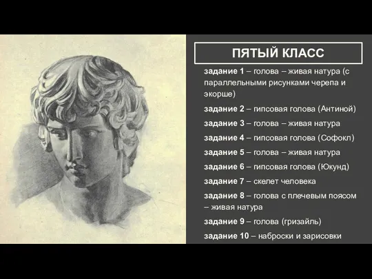 ПЯТЫЙ КЛАСС задание 1 – голова – живая натура (с параллельными