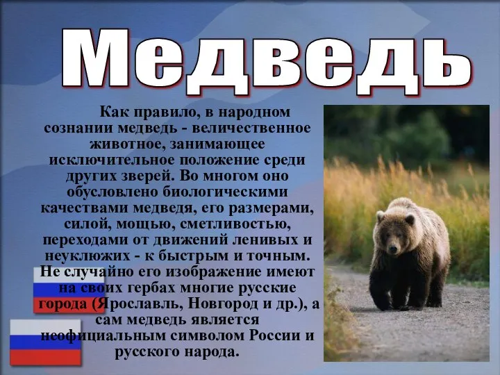 Медведь Как правило, в народном сознании медведь - величественное животное, занимающее