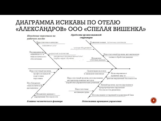 ДИАГРАММА ИСИКАВЫ ПО ОТЕЛЮ «АЛЕКСАНДРОВ» ООО «СПЕЛАЯ ВИШЕНКА»