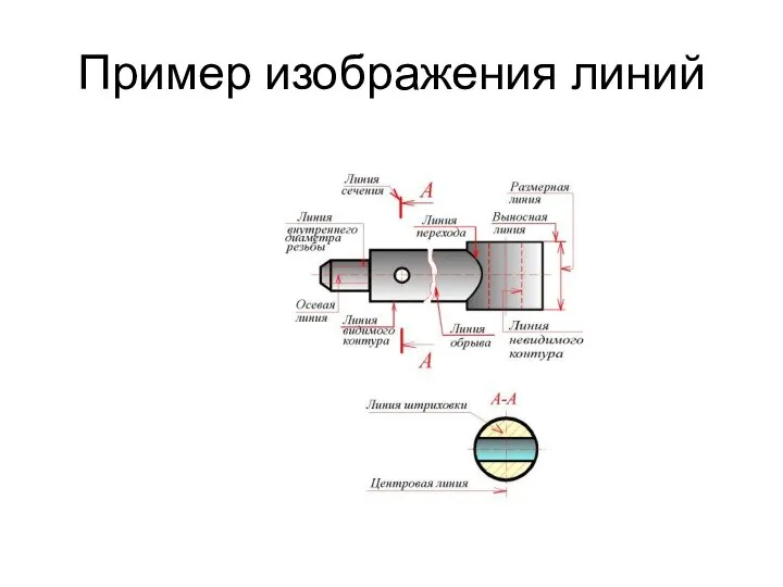 Пример изображения линий