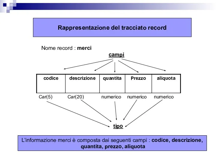 Rappresentazione del tracciato record Nome record : merci campi tipo L’informazione