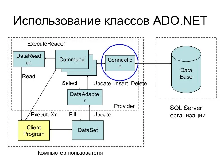 ExecuteXxx Использование классов ADO.NET Data Base SQL Server организации Connection DataReader