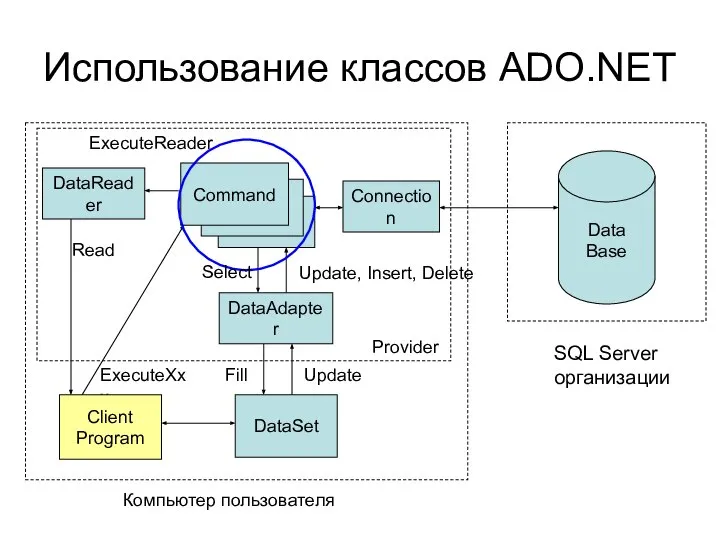 ExecuteXxx Использование классов ADO.NET Data Base SQL Server организации Connection DataReader