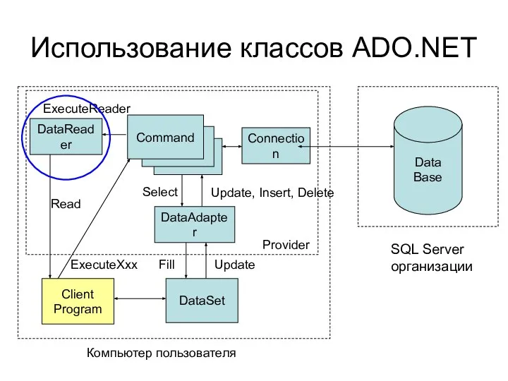 ExecuteXxx Использование классов ADO.NET Data Base SQL Server организации Connection DataReader