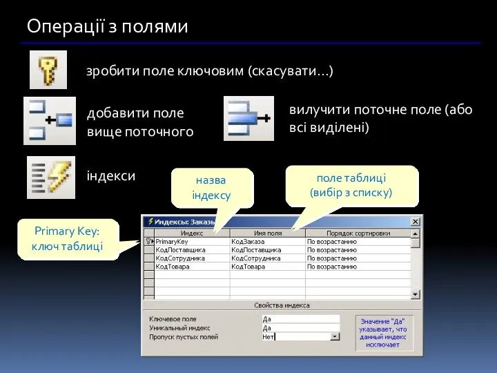 Операції з полями зробити поле ключовим (скасувати…) добавити поле вище поточного