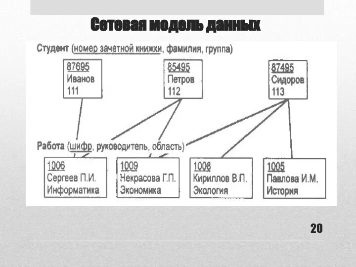 Сетевая модель данных