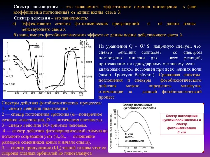 Спектр поглощения – это зависимость эффективного сечения поглощения s (или коэффициента