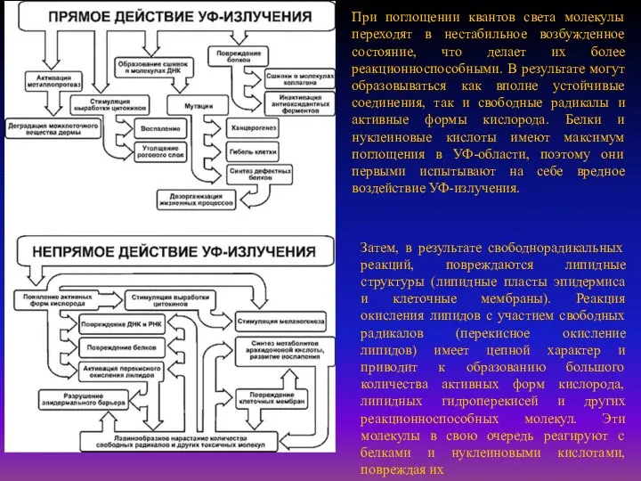 При поглощении квантов света молекулы переходят в нестабильное возбужденное состояние, что