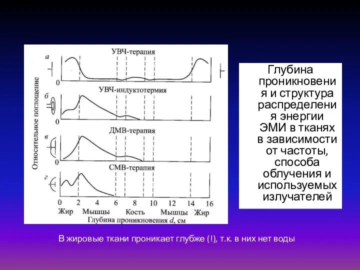 Глубина проникновения и структура распределения энергии ЭМИ в тканях в зависимости