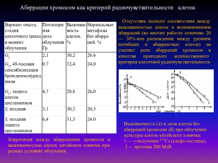 Корреляция между аберрациями хромосом и выживаемостью клеток китайского хомячка при разных