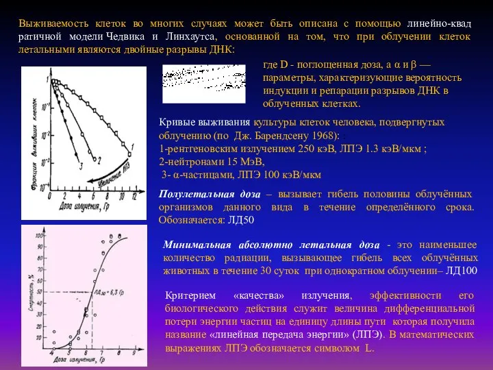 Кривые выживания культу­ры клеток человека, подвергнутых облучению (по Дж. Барендсену 1968):