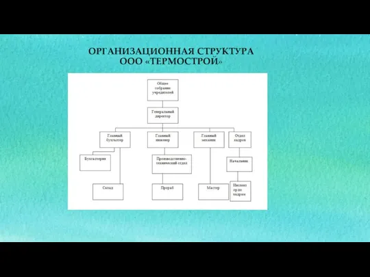 ОРГАНИЗАЦИОННАЯ СТРУКТУРА OOO «ТЕРМОСТРОЙ»