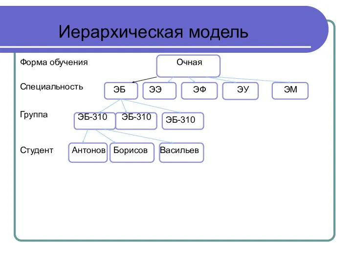 Иерархическая модель Специальность Форма обучения Очная ЭБ ЭЭ ЭФ ЭУ ЭМ