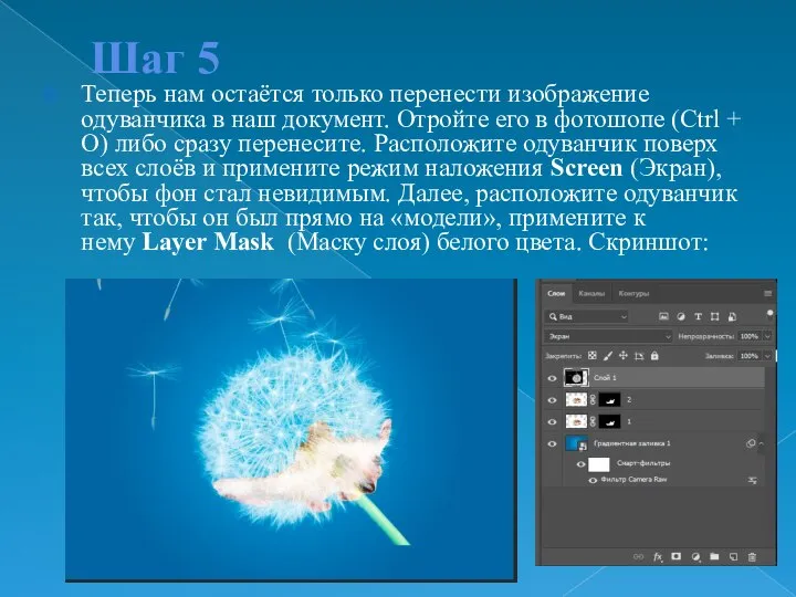 Шаг 5 Теперь нам остаётся только перенести изображение одуванчика в наш