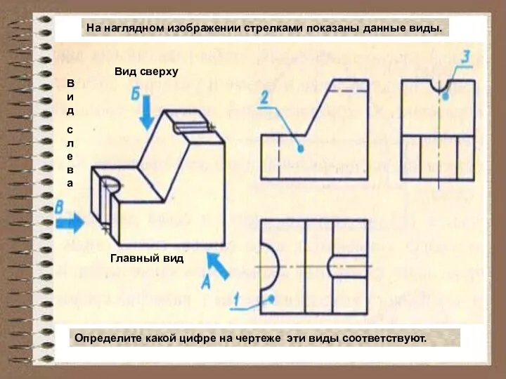 На наглядном изображении стрелками показаны данные виды. Определите какой цифре на