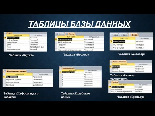 ТАБЛИЦЫ БАЗЫ ДАННЫХ Таблица «Брокер» Таблица «Колебание цены» Таблица «Договор» Таблица