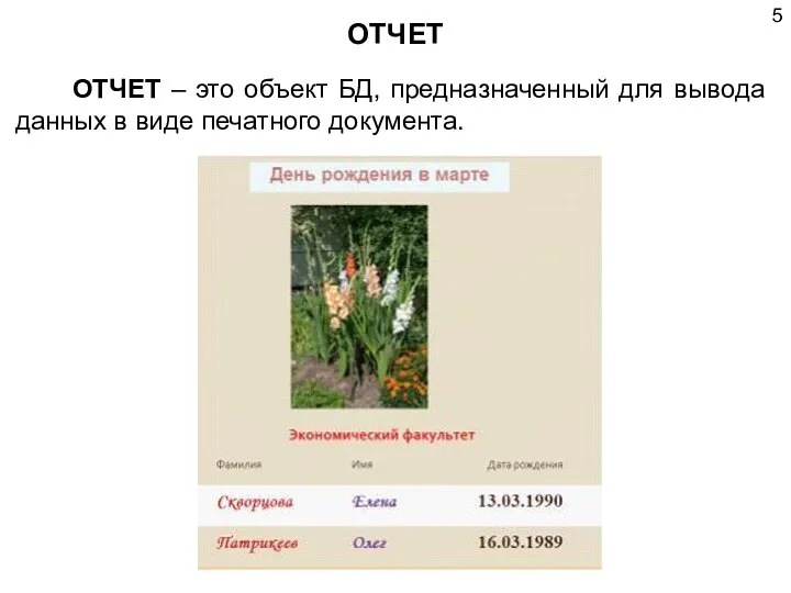 ОТЧЕТ ОТЧЕТ – это объект БД, предназначенный для вывода данных в виде печатного документа.