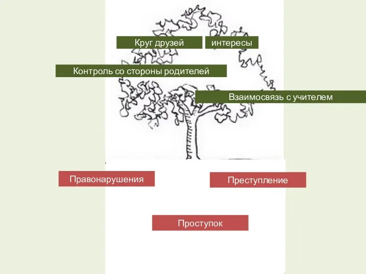 Контроль со стороны родителей интересы Круг друзей Взаимосвязь с учителем Правонарушения Преступление Проступок