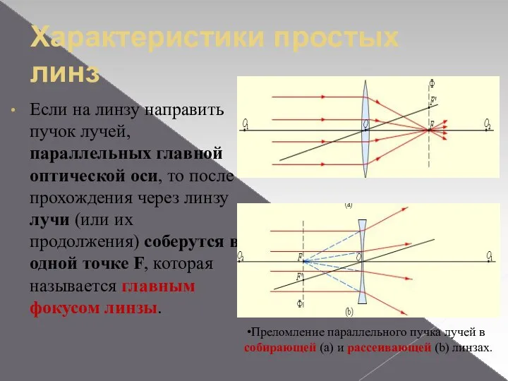 Характеристики простых линз Если на линзу направить пучок лучей, параллельных главной