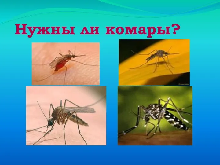 Нужны ли комары?