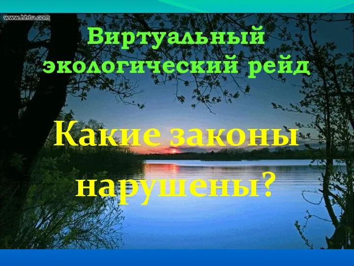 Виртуальный экологический рейд Какие законы нарушены?