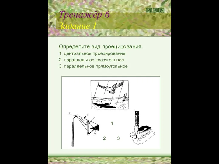 Тренажёр 6 Задание 1 Определите вид проецирования. 1. центральное проецирование 2.