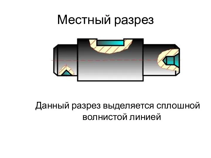 Местный разрез Данный разрез выделяется сплошной волнистой линией