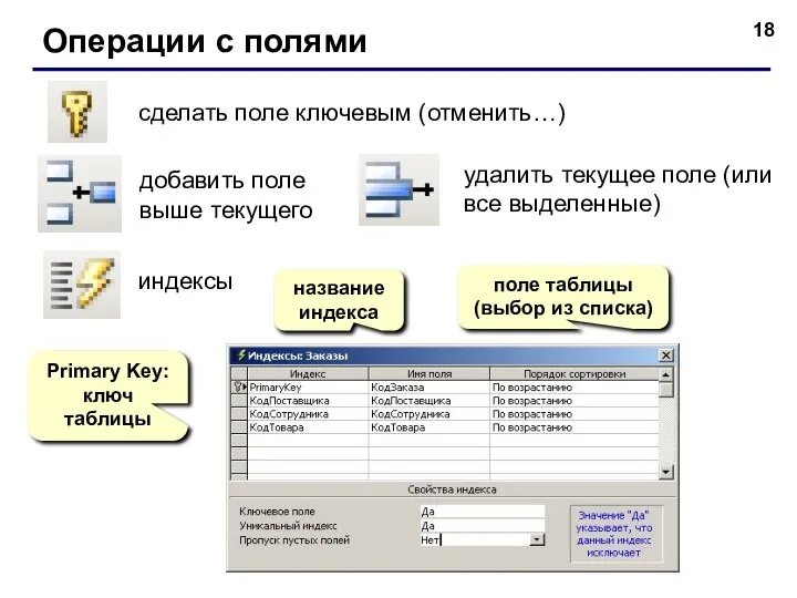 Операции с полями сделать поле ключевым (отменить…) добавить поле выше текущего