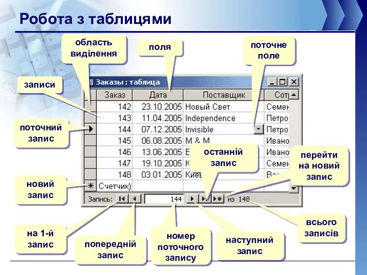 Робота з таблицями поля записи поточний запис область виділення новий запис