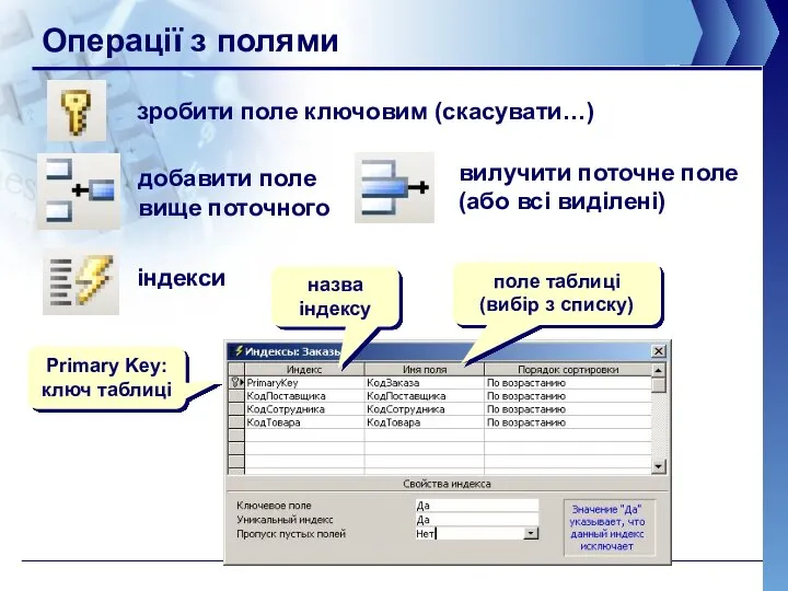 Операції з полями зробити поле ключовим (скасувати…) добавити поле вище поточного