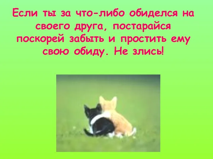 Если ты за что-либо обиделся на своего друга, постарайся поскорей забыть