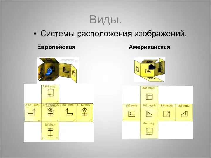 Виды. Системы расположения изображений. Европейская Американская