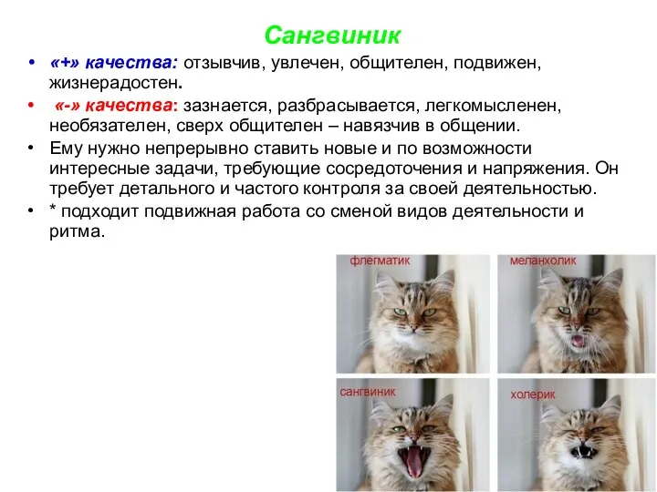 Сангвиник «+» качества: отзывчив, увлечен, общителен, подвижен, жизнерадостен. «-» качества: зазнается,