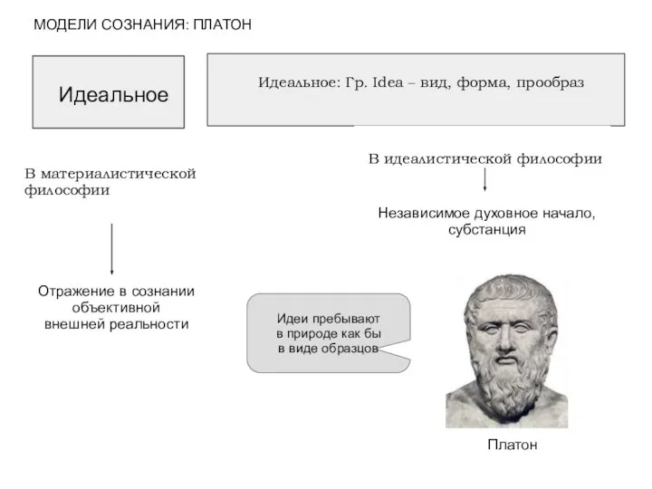 Идеальное Идеальное: Гр. Idea – вид, форма, прообраз В материалистической философии