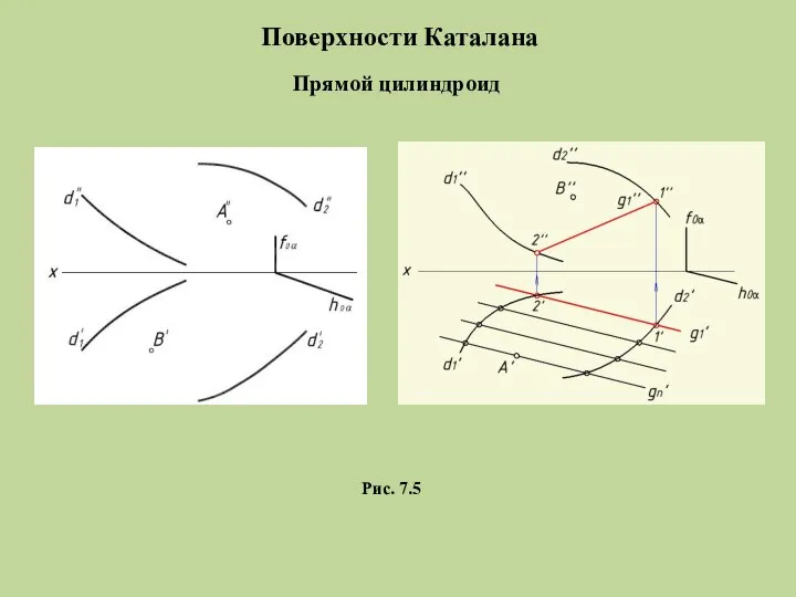 Поверхности Каталана Рис. 7.5 Прямой цилиндроид