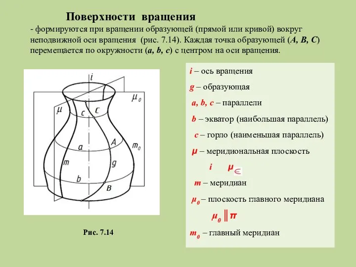 Поверхности вращения - формируются при вращении образующей (прямой или кривой) вокруг