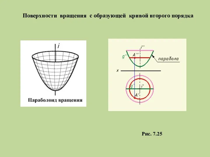 Поверхности вращения с образующей кривой второго порядка Рис. 7.25