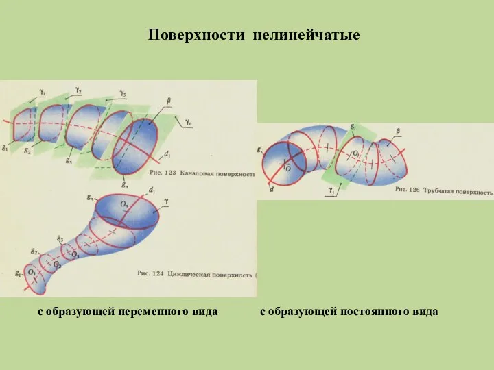 Поверхности нелинейчатые с образующей переменного вида с образующей постоянного вида